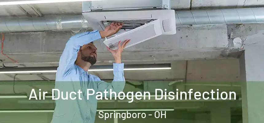  Air Duct Pathogen Disinfection Springboro - OH