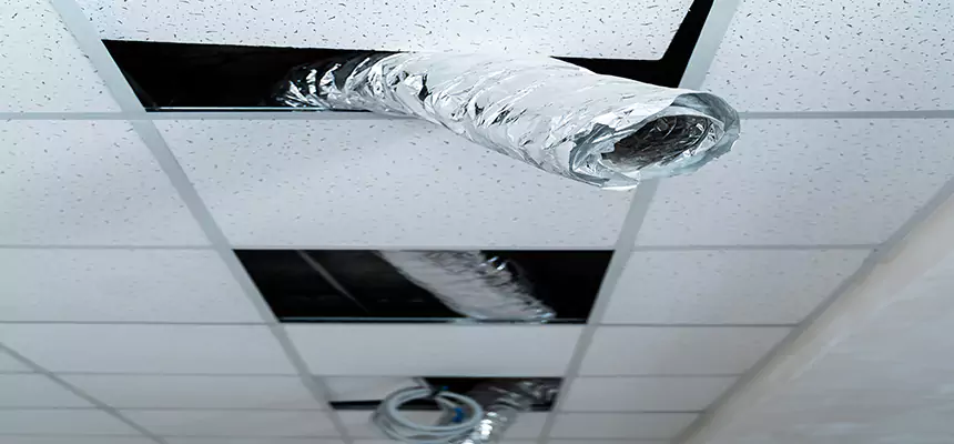 Affordable HVAC Sanitizing After Pest Removal in Springboro