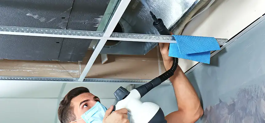 Our Air Duct Rodent Removal Services in Springboro, OH