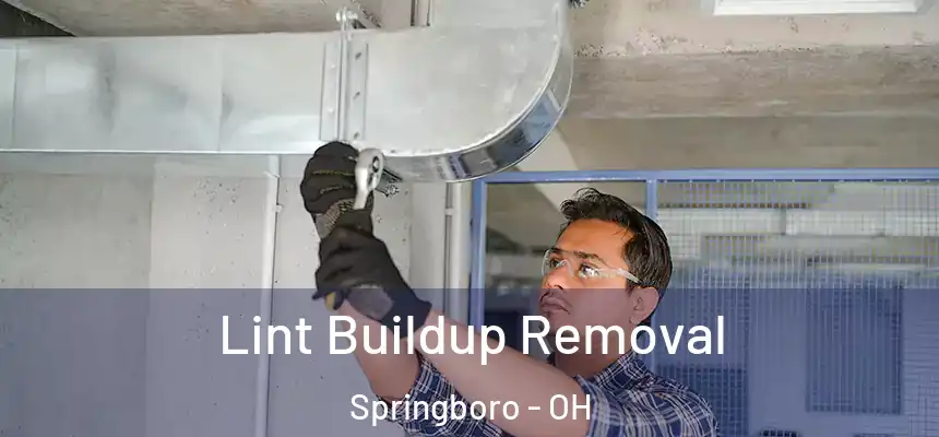 Lint Buildup Removal Springboro - OH
