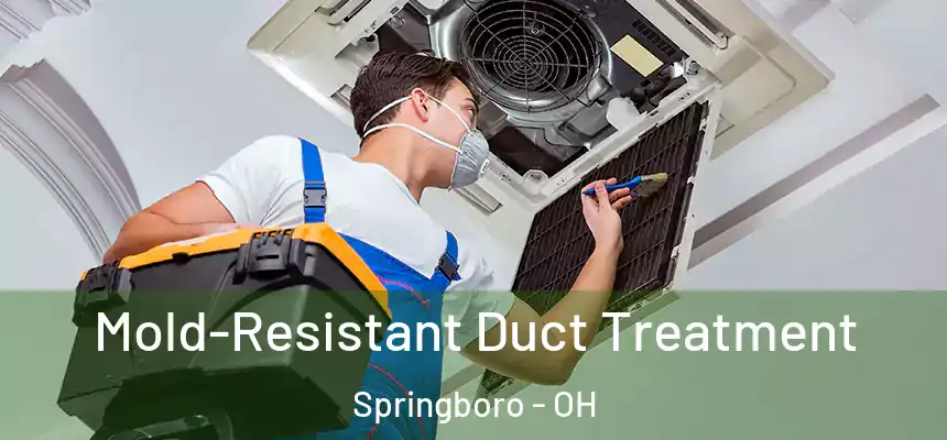  Mold-Resistant Duct Treatment Springboro - OH