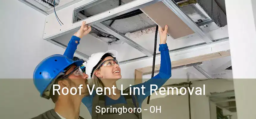  Roof Vent Lint Removal Springboro - OH