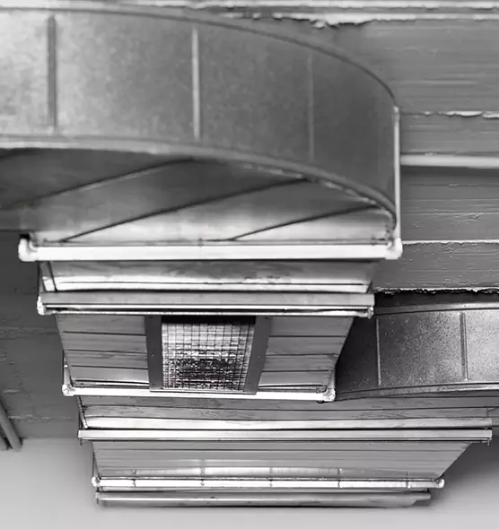 Professional Air Duct Pest Removal in Springboro, OH