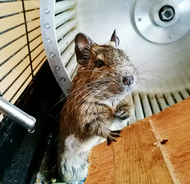 Why Homeowners & Businesses Trust Us Springboro, OH?